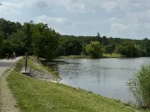 Prodej bytu 1+kk, Praha - Chodov, Bartůňkova, 38 m2