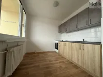 Pronájem bytu 2+1, Bílina - Pražské Předměstí, Bezejmenná, 48 m2