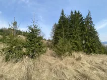 Prodej louky, Městečko Trnávka - Lázy, 1410 m2