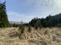 Prodej louky, Městečko Trnávka - Lázy, 1410 m2
