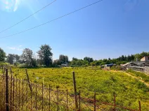 Pronájem zahrady, Dolní Bousov, 50 m2