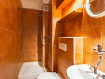 Prodej bytu 1+kk, Zábřeh, 28. října, 19 m2