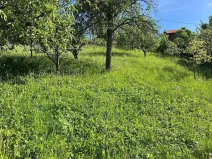 Prodej rodinného domu, Vítějeves, 329 m2