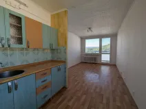 Pronájem bytu 2+kk, Litvínov - Horní Litvínov, Valdštejnská, 50 m2