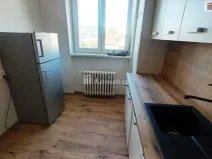 Pronájem bytu 3+1, Ústí nad Labem - Střekov, Purkyňova, 78 m2