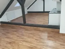 Prodej činžovního domu, Kamenice nad Lipou, Palackého, 200 m2