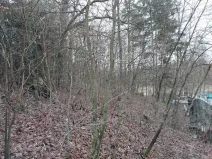 Prodej lesa, Kožlí, 278 m2