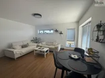 Pronájem bytu 3+kk, Most, Mátová, 89 m2