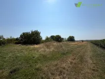 Prodej pozemku, Moravský Žižkov, 2593 m2