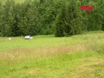 Prodej louky, Benecko, 4214 m2