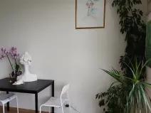Pronájem bytu 1+kk, Brno, Wágnerova, 35 m2