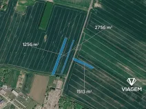 Prodej podílu pole, Moravské Budějovice, 1482 m2