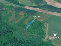 Prodej pole, Čejkovice, 3373 m2