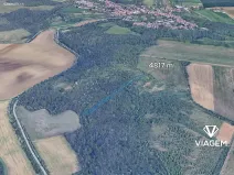 Prodej lesa, Silůvky, 4817 m2