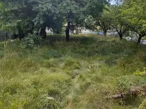 Prodej pozemku pro bydlení, Hradištko, Na Mezi, 310 m2