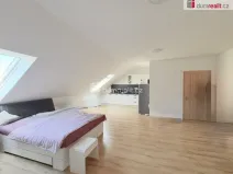 Pronájem bytu 1+kk, Chabařovice, V Aleji, 50 m2