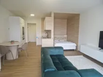 Pronájem bytu 1+kk, Ostrava - Slezská Ostrava, U Hájenky, 40 m2