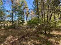 Prodej pozemku pro bydlení, Přimda - Újezd pod Přimdou, 894 m2