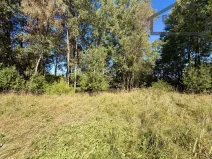 Prodej pozemku pro bydlení, Přimda - Újezd pod Přimdou, 904 m2