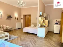 Pronájem bytu 2+kk, Plzeň - Vnitřní Město, Riegrova, 70 m2