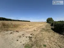 Prodej pozemku pro bydlení, Ostrovánky, 1500 m2