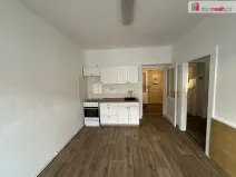 Pronájem bytu 1+1, Plzeň, Sladkovského, 44 m2