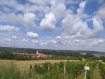 Prodej pozemku pro bydlení, Dolní Věstonice, 834 m2