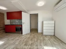 Pronájem bytu 1+kk, Brno, Bašty, 34 m2