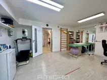 Pronájem komerční nemovitosti, Brno, Skopalíkova, 60 m2