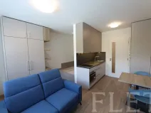 Pronájem bytu 1+kk, Praha - Holešovice, V háji, 30 m2