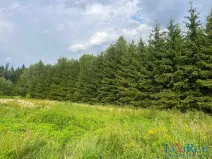 Prodej lesa, Stařeč, Horní, 15237 m2