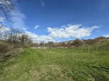 Prodej sadu/vinice, Mutěnice, 1540 m2