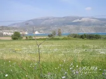 Prodej komerčního pozemku, Palliki, Řecko, 10197 m2