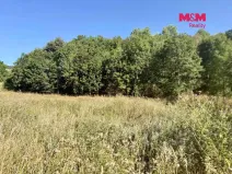 Prodej pozemku pro bydlení, Velemín, 5378 m2
