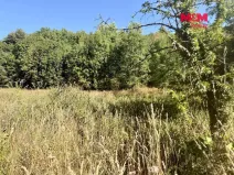 Prodej pozemku pro bydlení, Velemín, 5378 m2