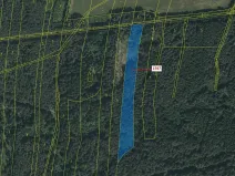 Dražba lesa, Nová Bystřice, 11125 m2