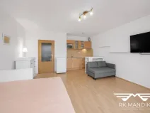 Pronájem bytu 1+kk, Praha - Černý Most, Truhlářova, 33 m2