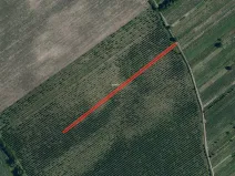 Prodej sadu/vinice, Prušánky, 2179 m2