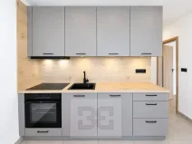 Pronájem bytu 2+1, Brno, Lipská, 55 m2