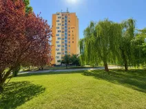 Pronájem bytu 2+kk, Tachov, Zárečná, 43 m2