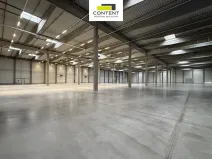Pronájem výrobních prostor, Bor - Nová Hospoda, 32693 m2