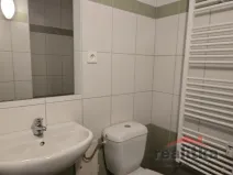 Pronájem bytu 2+kk, Opava - Předměstí, Ovocná, 53 m2