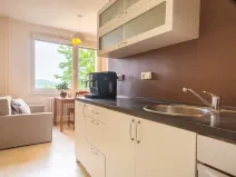 Pronájem bytu 1+1, Brno, Wollmanova, 38 m2