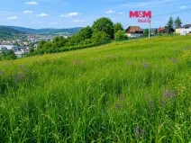 Prodej pozemku pro bydlení, Ústí nad Labem - Hostovice, 5240 m2