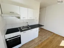 Pronájem bytu 1+1, Most, Marš. Rybalka, 35 m2
