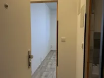 Pronájem bytu 1+kk, Plzeň - Lobzy, Těšínská, 20 m2