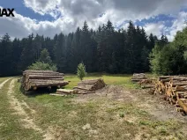 Prodej pozemku pro bydlení, Borušov, 1387 m2