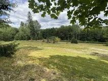 Prodej pozemku pro bydlení, Borušov, 990 m2