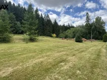 Prodej pozemku pro bydlení, Borušov, 960 m2