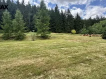 Prodej pozemku pro bydlení, Borušov, 960 m2